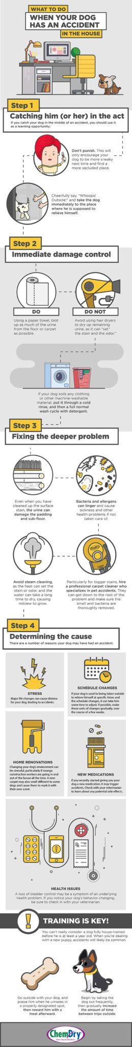 Chem-Dry Infographic